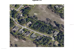 Lydia Ct, Spring Hill, FL 34608 - Photo 1