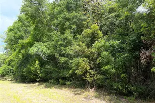 0 NW 70th Circle, Chiefland, FL 32626 - Photo 1