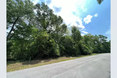 0 NW 70th Circle, Chiefland, FL 32626 - Photo 7