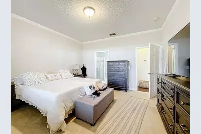 22004 Belgian Court, Mount Dora, FL 32757 - Photo 31