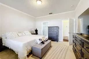 22004 Belgian Ct, Mount Dora, FL 32757 - Photo 31