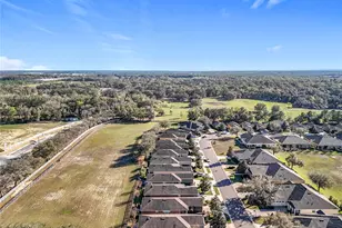 22004 Belgian Ct, Mount Dora, FL 32757 - Photo 67