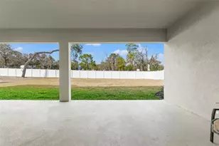 14421 Nonna Sky Dr Dr, Spring Hill, FL 34609 - Photo 49