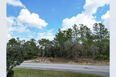 32 Speceberry Circle, Homosassa, FL 34446 - Photo 7