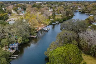 646 Riverside Dr, Tarpon Springs, FL 34689 - Photo 73