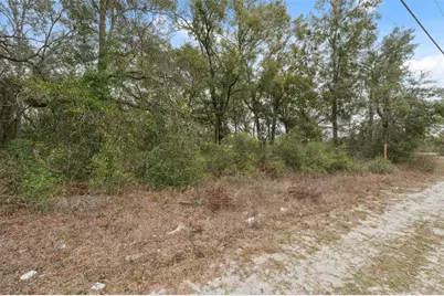 16308 Shady Hills Road, Spring Hill, FL 34610 - Photo 21