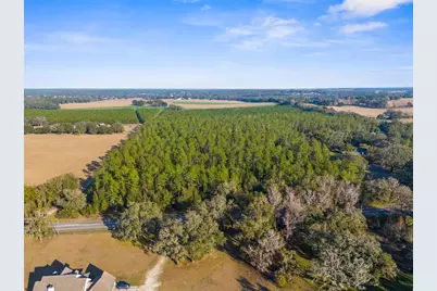 9999 Spring Lake Hwy, Brooksville, FL 34601 - Photo 3