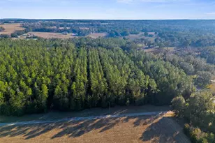 9999 Spring Lake Hwy, Brooksville, FL 34601 - Photo 1