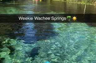 4544 Cynthia Ln, Spring Hill, FL 34606 - Photo 35