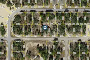 3421 W Parkview Dr, Dunnellon, FL 34433 - Photo 1