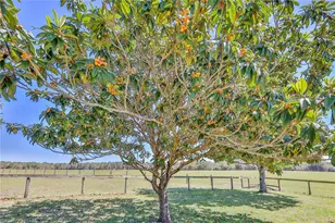 13496 S Oakview Ave, Floral City, FL 34436 - Photo 81