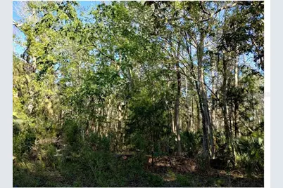 Indian Bay Road, Spring Hill, FL 34607 - Photo 1