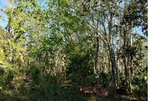 Indian Bay Rd, Spring Hill, FL 34607 - Photo 1