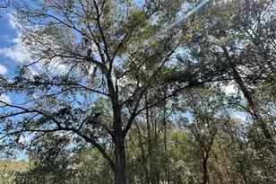 0 Courlan Rd, Brooksville, FL 34614 - Photo 1