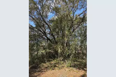 0 Courlan Road, Brooksville, FL 34614 - Photo 3