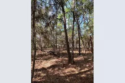 0 Courlan Road, Brooksville, FL 34614 - Photo 3