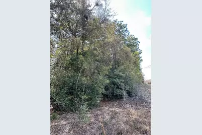 0 Courlan Road, Brooksville, FL 34614 - Photo 5