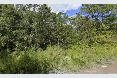 00 Morton Street, New Port Richey, FL 34654 - Photo 1