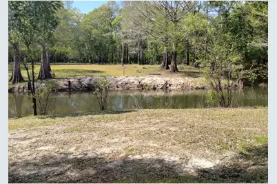 3237 Tiger Street, Ridge Manor, FL 33523 - Photo 3