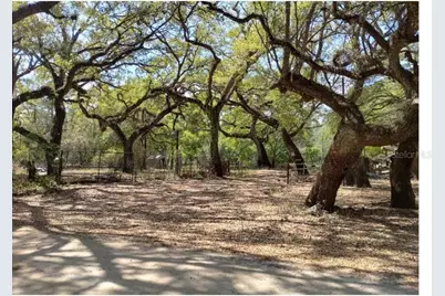 3237 Tiger Street, Ridge Manor, FL 33523 - Photo 5