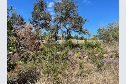 16883 Dry Tortugas Run, Hudson, FL 34667 - Photo 3