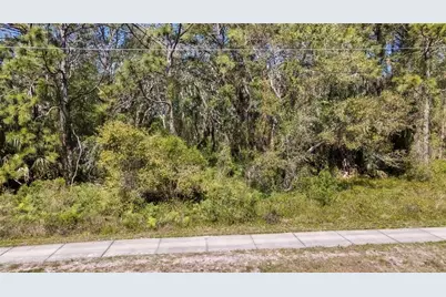 18119 Us-19, Hudson, FL 34667 - Photo 13