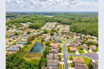 11050 Kiskadee Circle, New Port Richey, FL 34654 - Photo 31