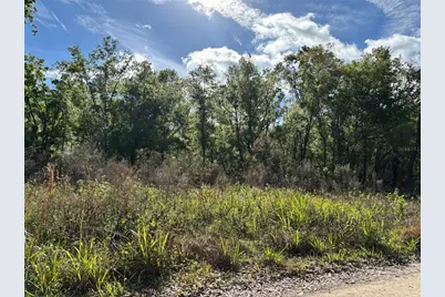 11042 Bounty Street, New Port Richey, FL 34654 - Photo 5