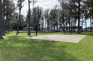 11444 Lake Dr, New Port Richey, FL 34654 - Photo 21