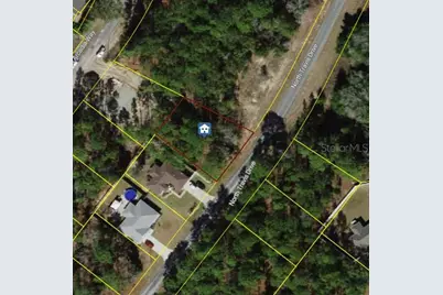 9561 N Travis Drive, Dunnellon, FL 34434 - Photo 1