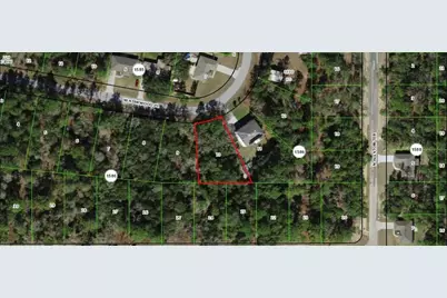 3004 W Kirkwood Place, Dunnellon, FL 34433 - Photo 1