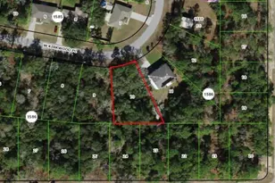 3004 W Kirkwood Pl, Dunnellon, FL 34433 - Photo 1