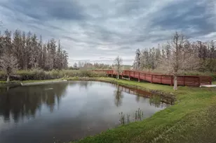 3515 Albritton St, New Port Richey, FL 34655 - Photo 63