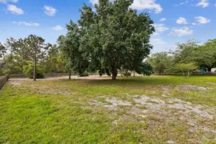 10318 Piper Dr, New Port Richey, FL 34654 - Photo 53