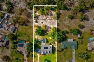 10318 Piper Dr, New Port Richey, FL 34654 - Photo 59