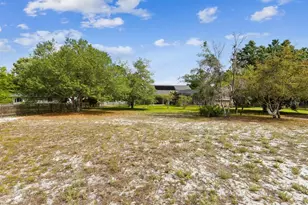 10318 Piper Dr, New Port Richey, FL 34654 - Photo 51