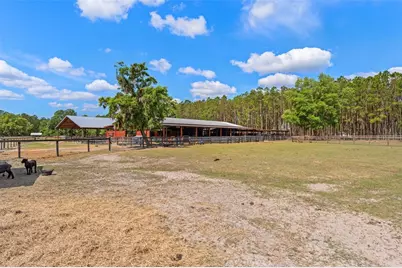 3431 Saturn Road, Brooksville, FL 34604 - Photo 51