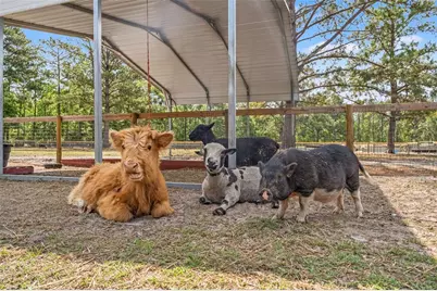 3431 Saturn Road, Brooksville, FL 34604 - Photo 55