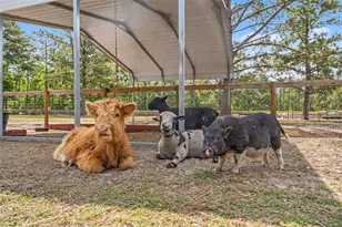 3431 Saturn Rd, Brooksville, FL 34604 - Photo 55