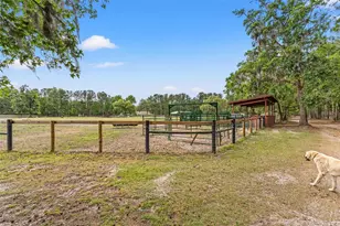 3431 Saturn Rd, Brooksville, FL 34604 - Photo 65