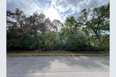 Nw 74th Court #111, Chiefland, FL 32626 - Photo 5