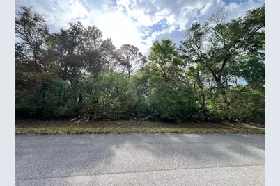 Nw 74th Court #111, Chiefland, FL 32626 - Photo 3