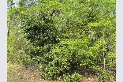 Nw 74th Court #112, Chiefland, FL 32626 - Photo 3