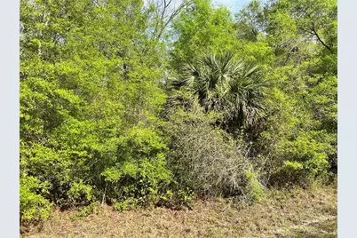 Nw 74th Court #112, Chiefland, FL 32626 - Photo 1