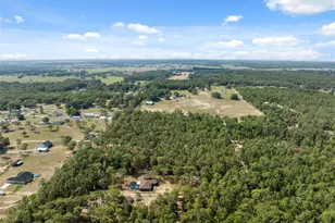 6080 Dexter Ln, Brooksville, FL 34602 - Photo 51