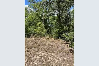 2235 W Summer Place, Citrus Springs, FL 34434 - Photo 5