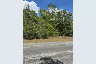 2235 W Summer Place, Citrus Springs, FL 34434 - Photo 3