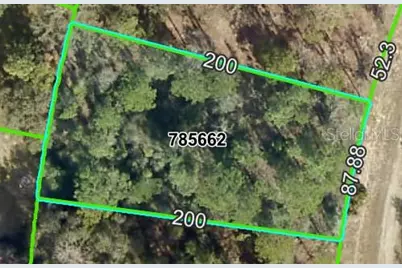 13439 Cormorant Road, Brooksville, FL 34614 - Photo 1