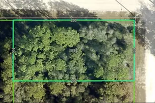 14040 Ruffed Grouse Rd, Brooksville, FL 34614 - Photo 1