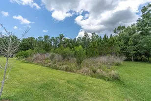 12539 Wetmore Ct, Odessa, FL 33556 - Photo 55